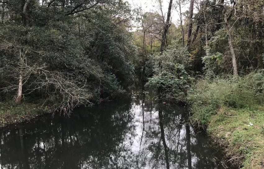 Wolf Creek is one of the sites where local volunteers have been collecting water quality data for about 25 years. Monitors have collected more than 9,500 records at South Baldwin sites since 1998, the second-highest total in Alabama.