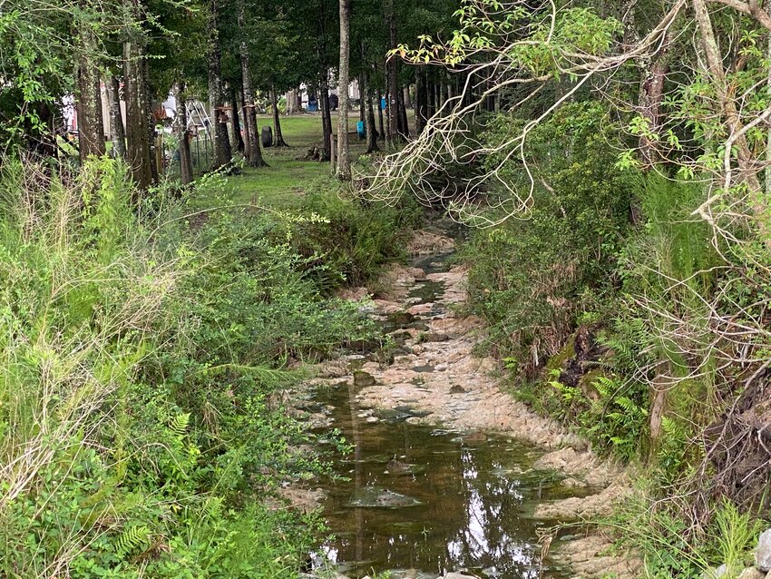 A stormwater management plan would allow Foley to improve drainage and reduce flooding on the Bon Secour River. The city is applying for a state grant to develop the plan.