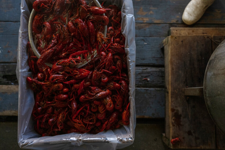 Easter dinner across the country often involves a honey-baked ham, but on the Gulf Coast, a popular way to celebrate is with a crawfish boil. This year, be prepared for higher prices and lower supply.