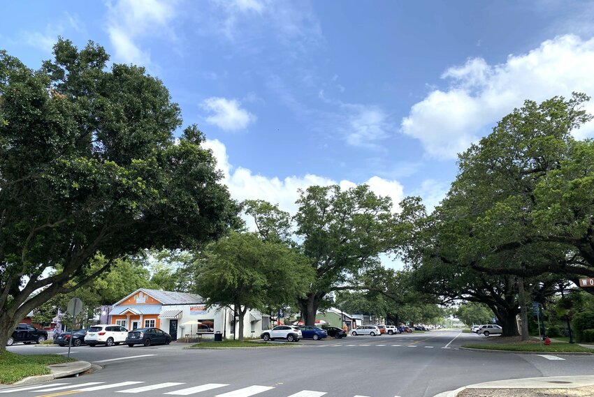 Foley will add halo lighting to oak trees on West Orange Avenue and South Alston Street. The LED lights are the second phase of a project to illuminate downtown trees.