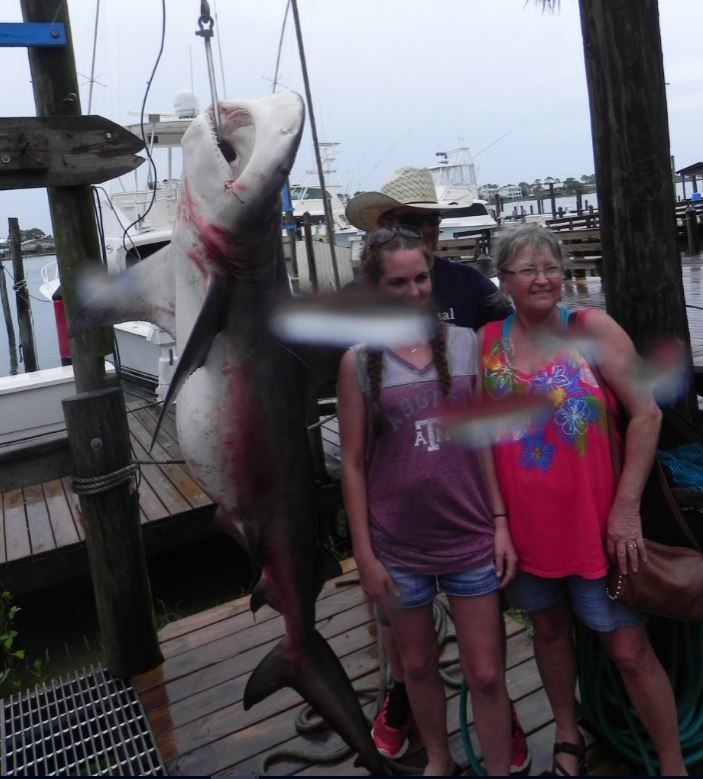 Donna Edgar and Michelle Pogue pose with the 6-foot bull shark.