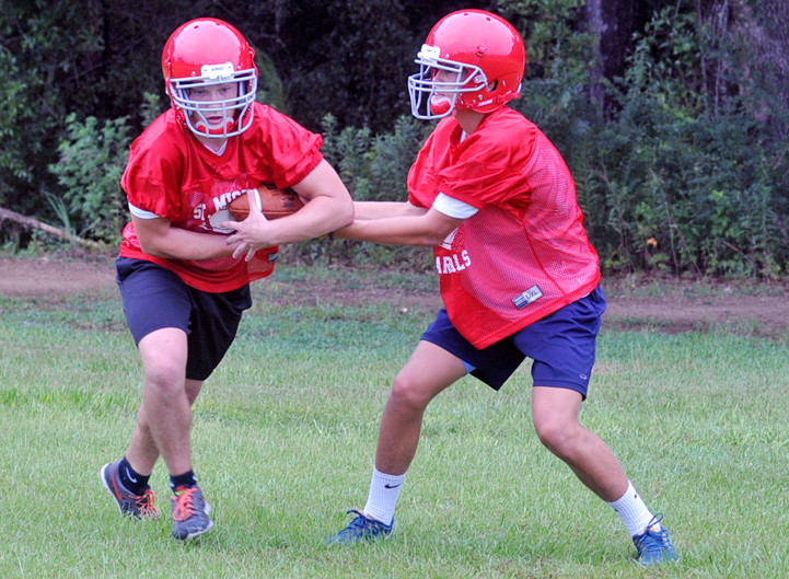 QB Grant Murray hands off to RB Jacob Domning