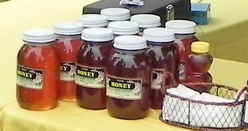 Honey at last year's festival.