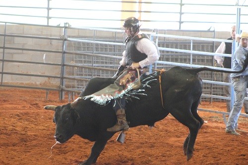 Bull riding was among the events previewed at the Robertsdale Rotary Club's mini rodeo, sponsored by Citizens' Bank Wednesday at the Baldwin County Fairgrounds Arena.