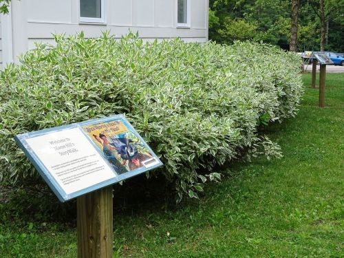 A photo of the beginning page for Moose Hill’s StoryWalk® trail in Massachusetts. Also displayed is the length between the pages, and one of the many ways the pages can be displayed.