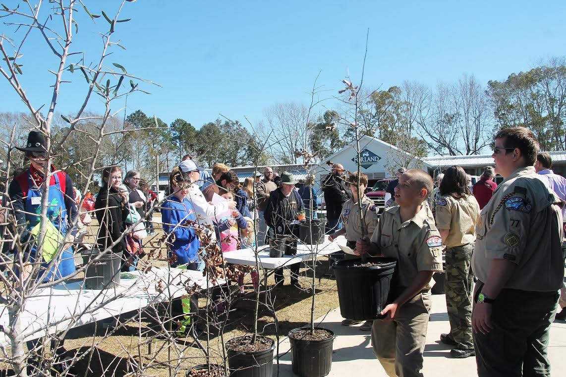 Members of Scout Troop 77 distribute trees at the 2017 Arbor Day celebration at the Coastal Alabama Farmers and Fishermens Market.