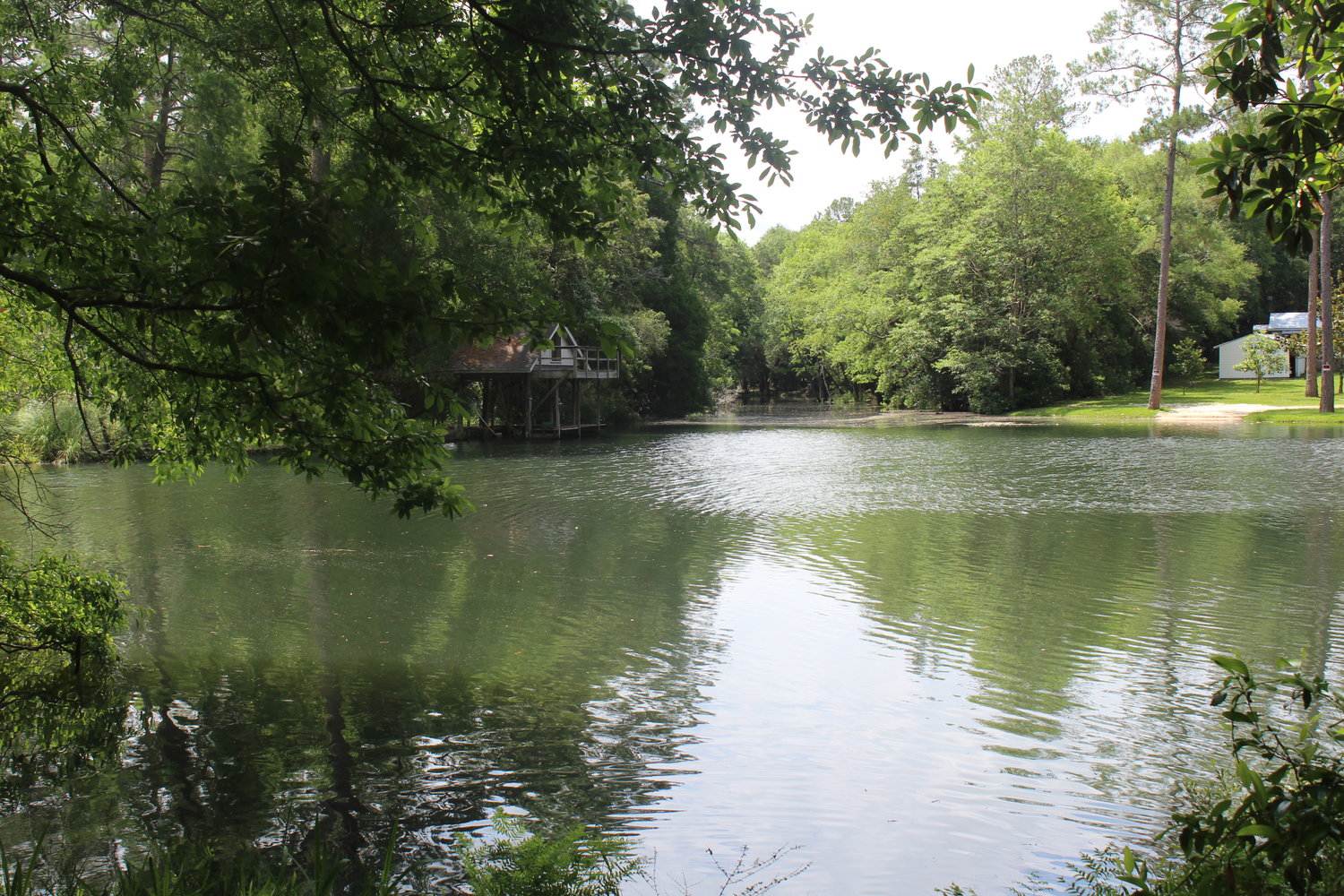 Magnolia River.