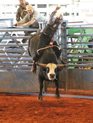 Bull riding is one of the more popular events at the rodeo.