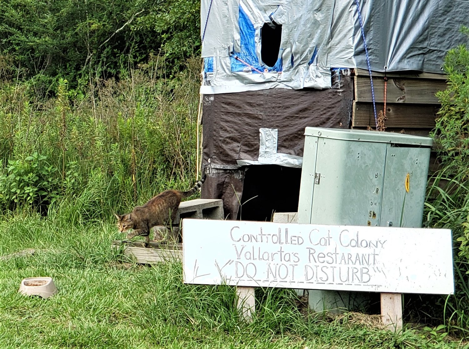 Many cat colonies can be found around Foley and in area neighborhoods, but until now there was no organized effort to help with a solution.