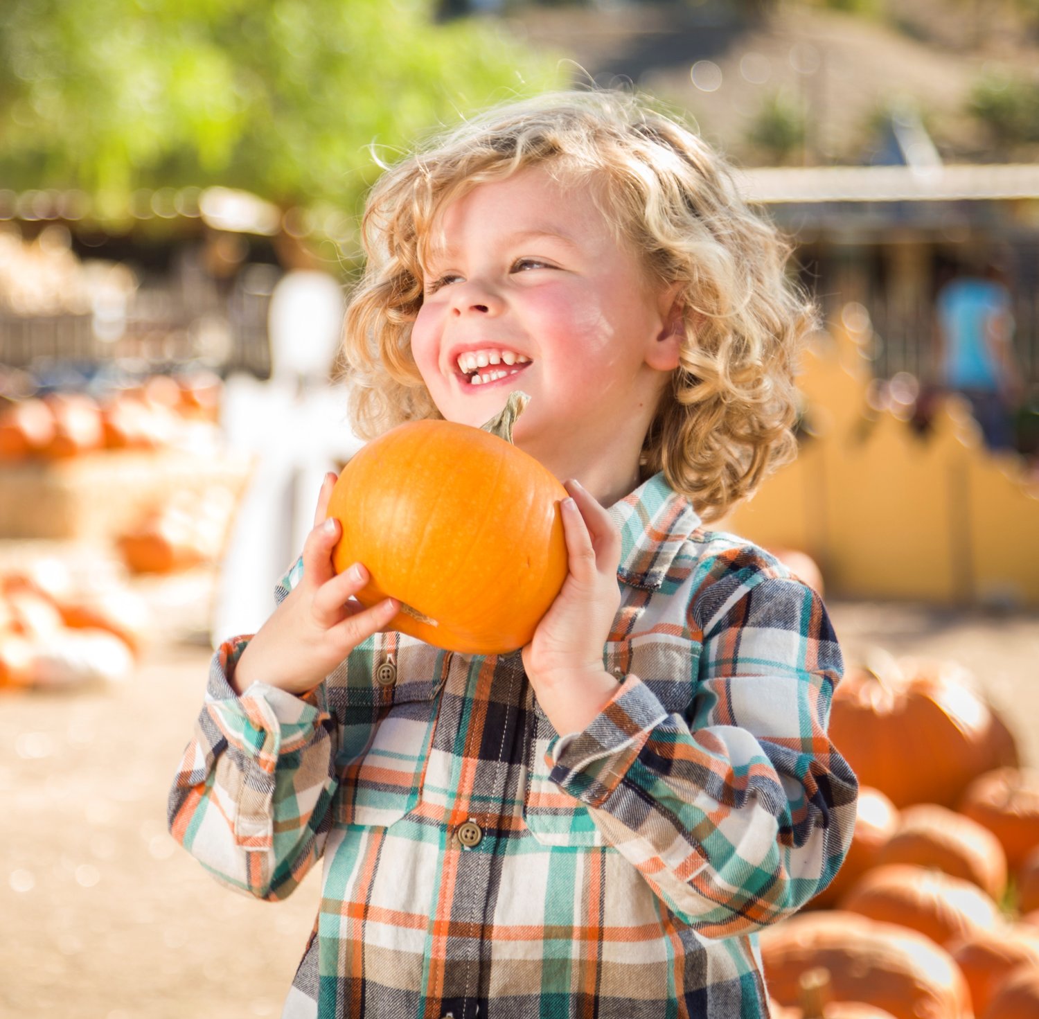 Kickoff the fall season with a visit to the Pumpkin Patch Express in Silverhill. Take a ride to the pumpkin patch on the train.