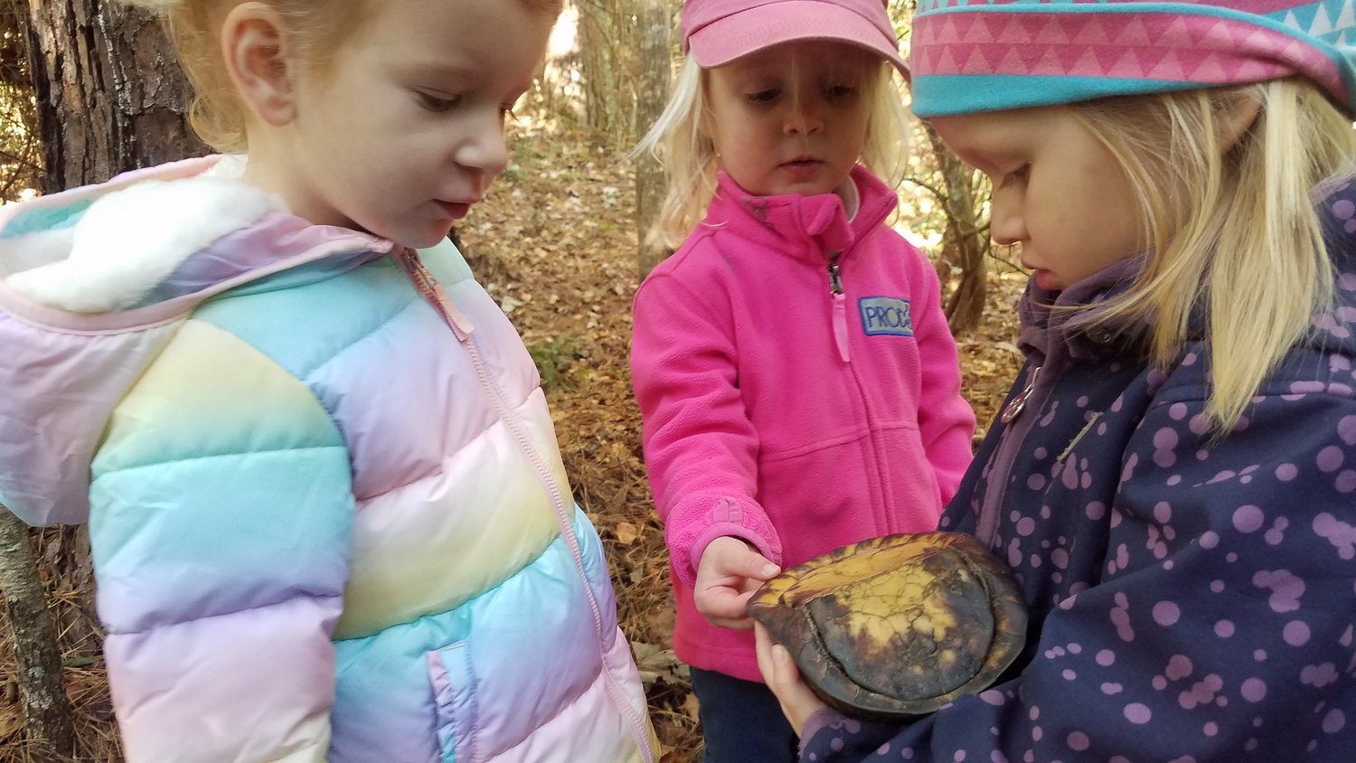 Students at Nature Connect, in Daphne, spend all day outside.