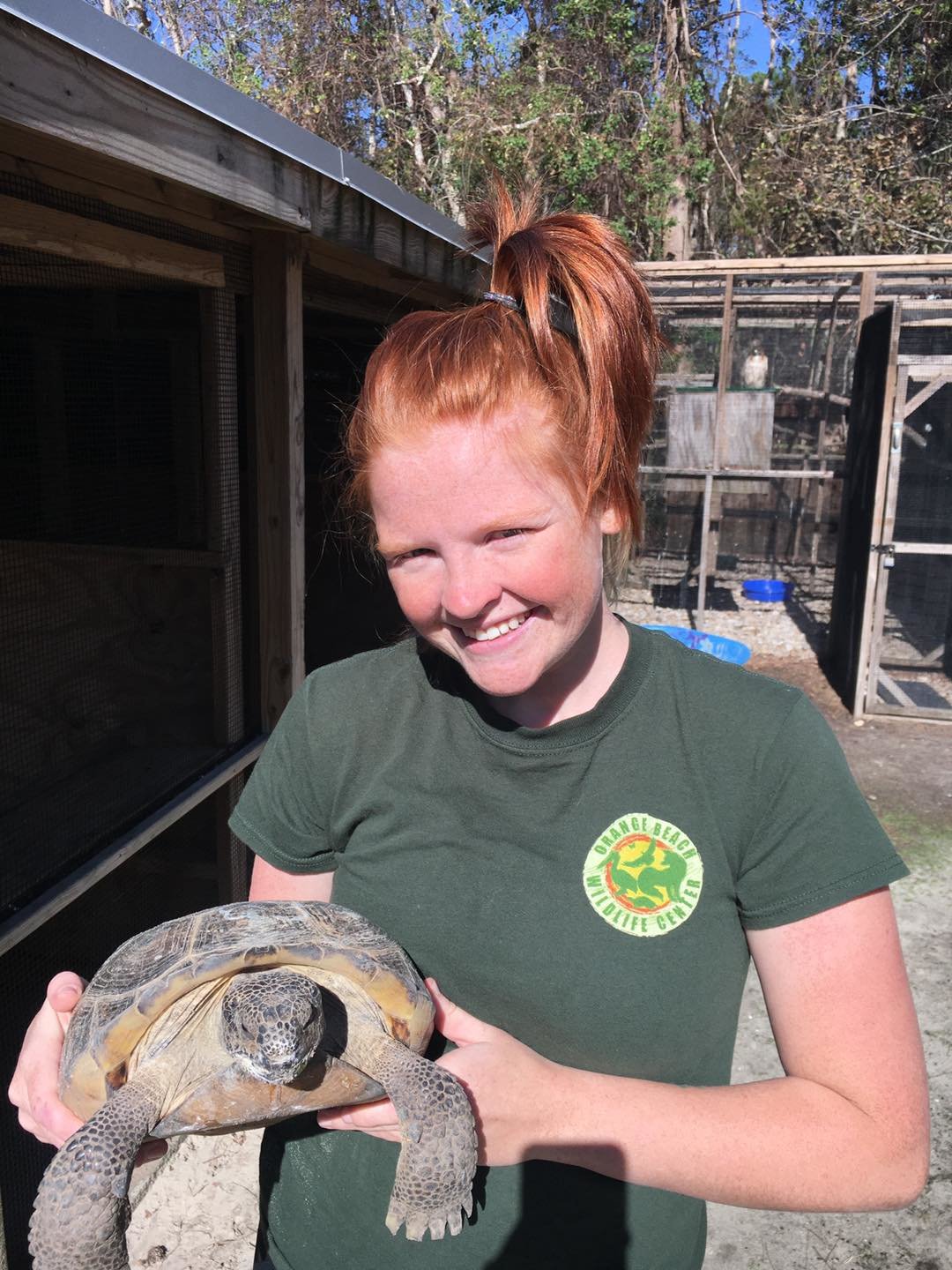 Abbie Dalton is one of the newer interns at the Orange Beach Wildlife Center. She is a Wisconsin native with a bachelor’s degree in zoology and environmental studies. She is working on a project that will help get new interns adjusted.