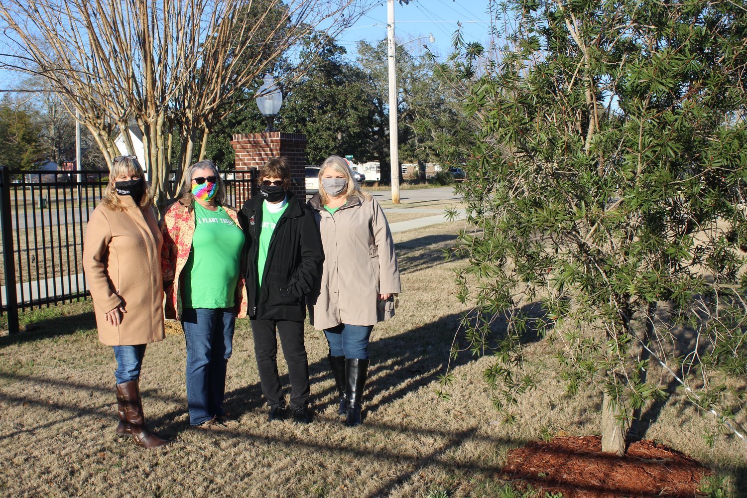 Members of the Robertsdale Park, Street and Tree Committee are pictured with one of this year’s tree, a bottle brush. A second bottle brush tree was also planted in Honeybee Park for the annual Arbor Day celebration. Pictured are, from left, Ruthie Campbell, June Salac, Sue Cooper and Amanda Brill. Committee members not pictured are Chairman Sonja Connor, Cindy Adams, Nell Calloway and Jodee Darby.