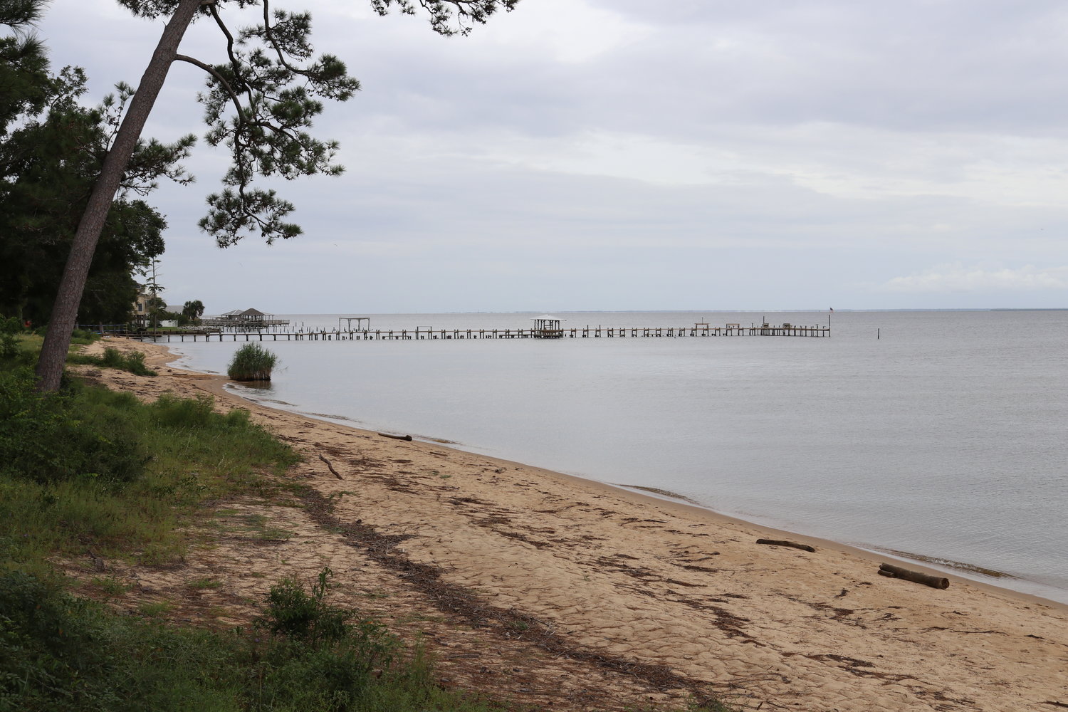 Rivers flowing into the Mobile-Tensaw delta brings water from throughout Alabama into Mobile Bay. The group Clean Water Alabama is working to improve the water quality of Mobile Bay and other local waters.