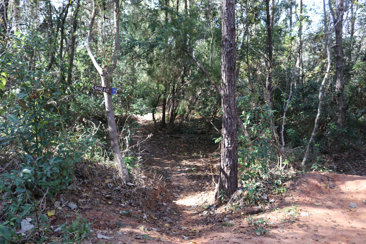 Trails extend into the Dyas Triangle in Fairhope. City officials are working to prepare plans to develop the property as a municipal nature park.