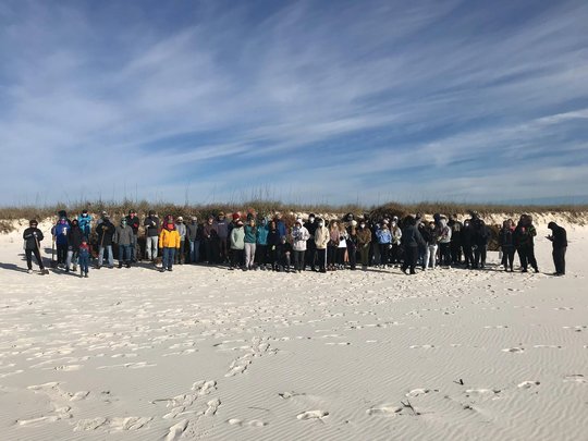 Gulf State Park staff, volunteers young and old and students from Gulf Shores High School worked to place 427 recycled Christmas trees in the dunes in 2021.