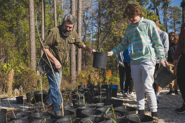 Gulf Shores High School Horticulture and Environmental Management teacher Will Tuggle hands off small potted trees to students that will be planted.
Trees grown by the students will be given away during the Gulf Shores Arbor Day event.