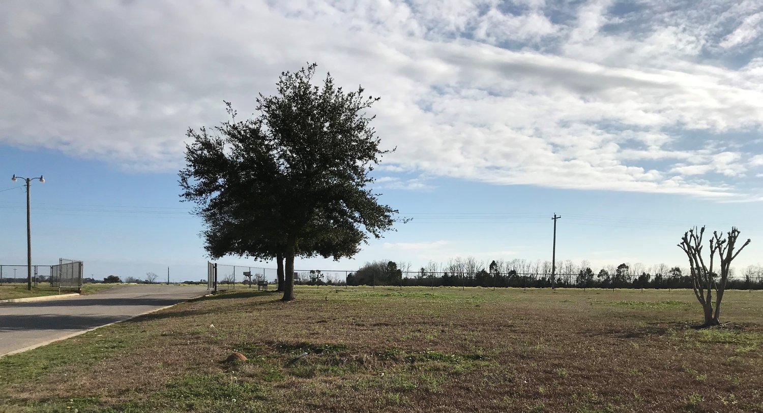 More trees will be planted at the Baldwin County Coliseum site under plans being considered by the city of Robertsdale, which bought the facility from the county in 2021. Several oaks have died or were destroyed during Hurricane Sally since the trees were first planted.