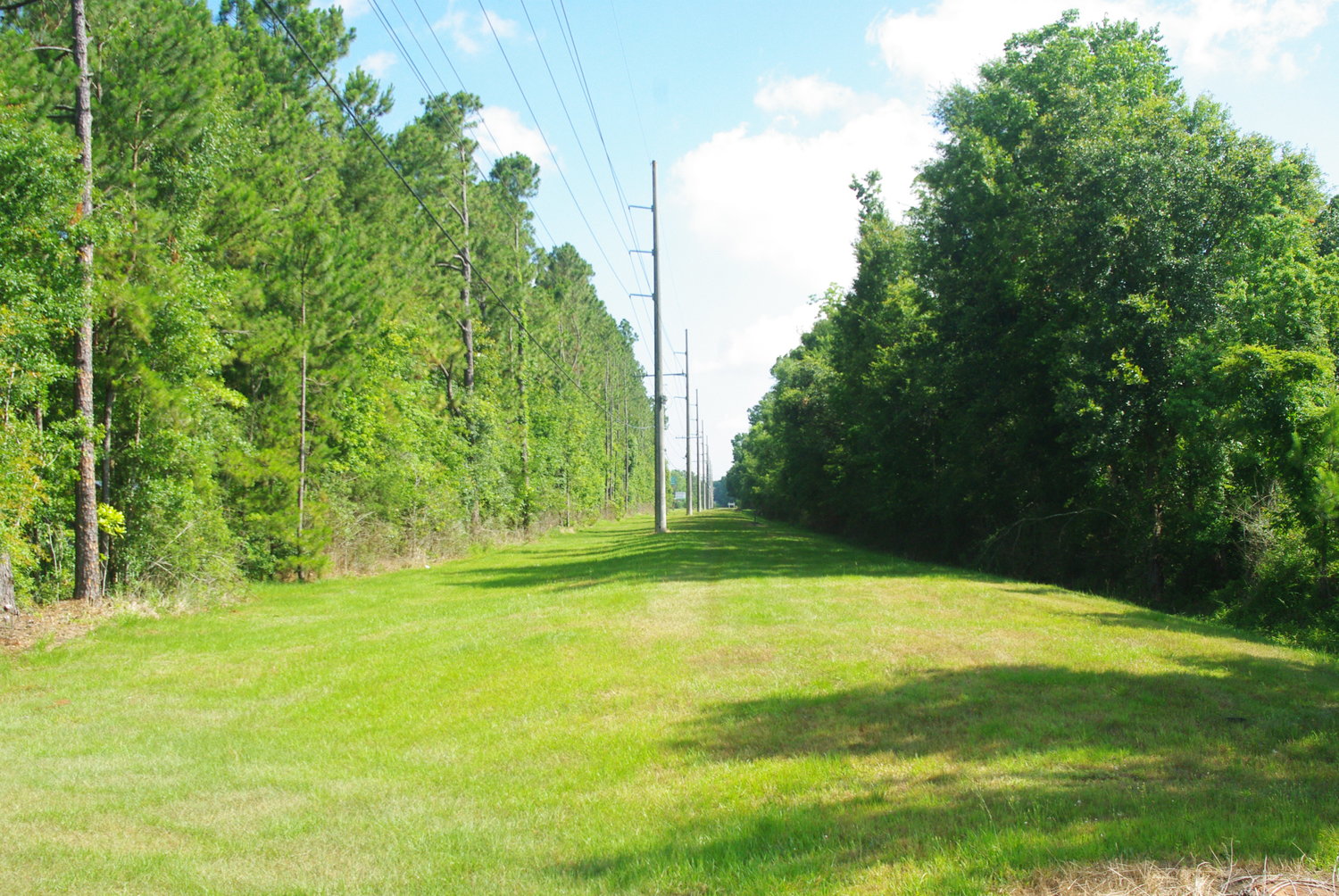 A walking and bicycling trail along the old L&N Railroad right of way between Foley and Bay Minette is one project being studied in the County Connectivity Plan.