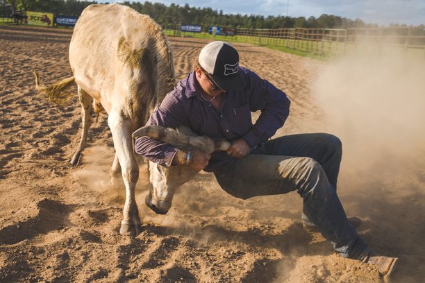 Drew Clukey wrestles a steer to the ground during practice at Luke Campbell’s farm.