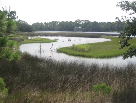 Gulf Shores is buying a 23-acre parcel on Bon Secour Bay to be used for environmental education programs. The site includes bayshore, marshes, dunes and pine and oak forests.