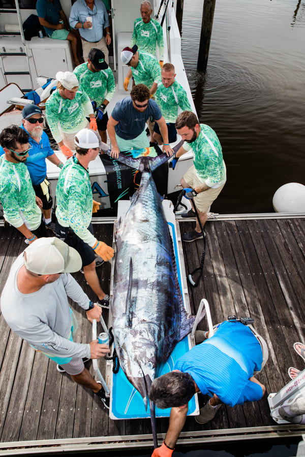 The Blue Marlin Grand Championship serves as the fourth and final billfish tournament in the Gulf Coast Triple Crown that started in May.