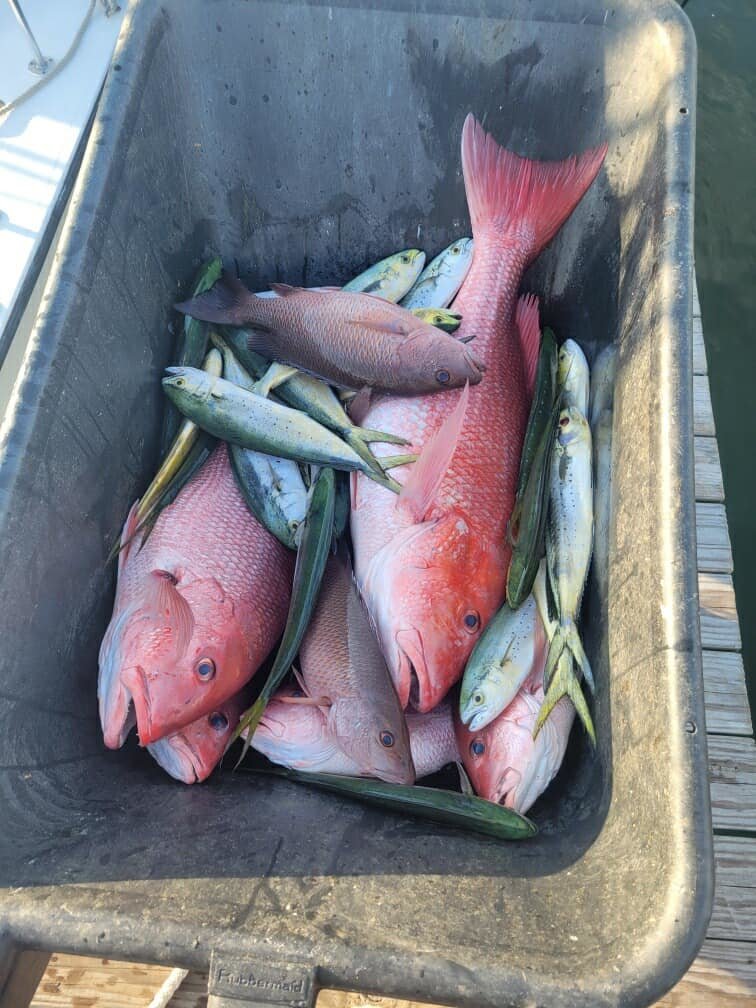 Anglers heading out of the Fort Morgan Marina have had their pick of the litter this charter fishing season.