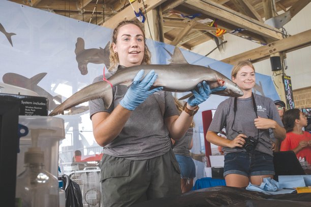 Alena Anderson, a researcher with the Mississippi State University Marine Fisheries Ecology, goes over the different types of fins on a blacknose shark prior to dissecting it for a crowd at Gulf State Park Pier as a part of the state park’s Shark Week. The blacknose shark is one of the most common sharks found on the Alabama Gulf Coast and can reach sizes up to five feet.
