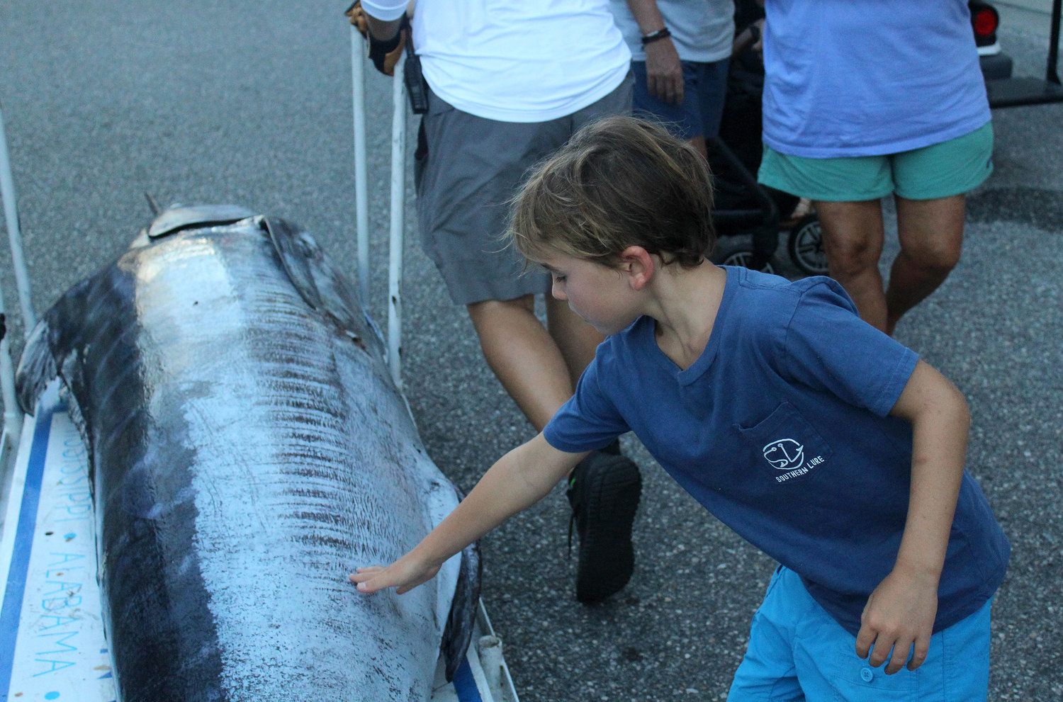 Young fans got an up close and personal look at the winning marlin before it was loaded onto a trailer to be processed and donated to fight food insecurity in Baldwin County.