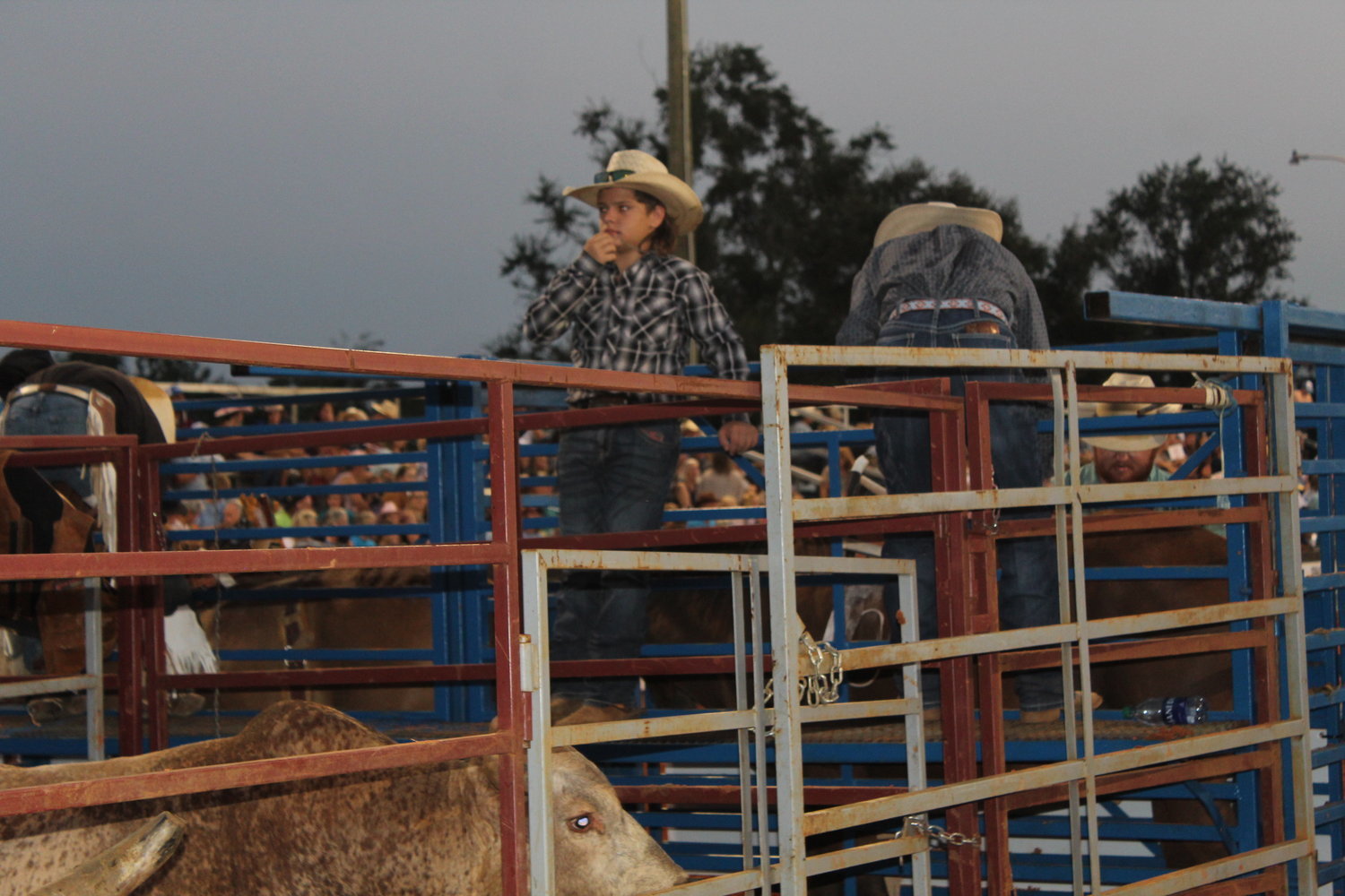Rodeo athletes will compete in various events to determine winners at the 24th annual Jennifer Claire Moore Foundation Professional Rodeo starting Thursday, Aug. 4.