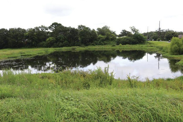 The company that produces the "Litter Gitter" cleaning system used on area waterways will be cleaning the pond near the Winn Dixie shopping center in Fairhope under a contract approved by the Fairhope City Council.