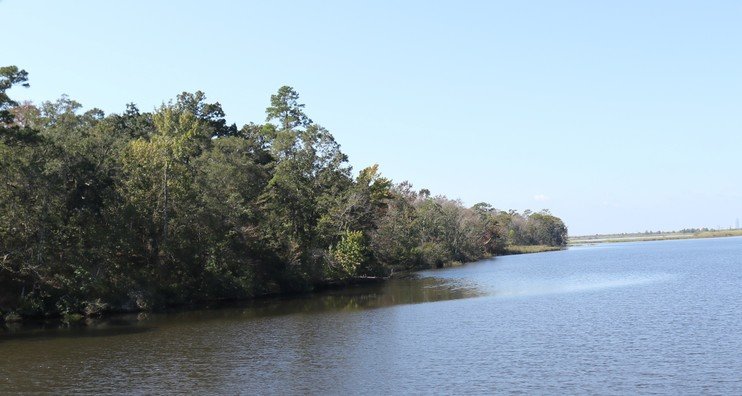 A 144-acre parcel on Bay Minette Creek is now Spanish Fort city property. The city bought the land on Alabama 225 for $8.5 million. The site will become a waterfront nature park.
