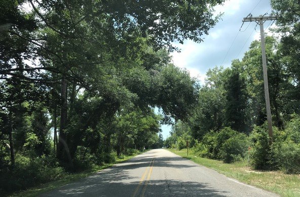 The city of Gulf Shores will acquire property from the Alabama Department of Conservation to improve and extend Waterway East Boulevard to a proposed road to the new bridge planned over the Intracoastal Waterway.