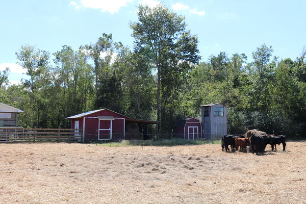 Baldwin County High School features a working farm on campus. The structures are largely student built and maintained, and the animals depend on the students for care. The course instructors direct students and answer questions, but let the students take a hands-on approach to learning.
