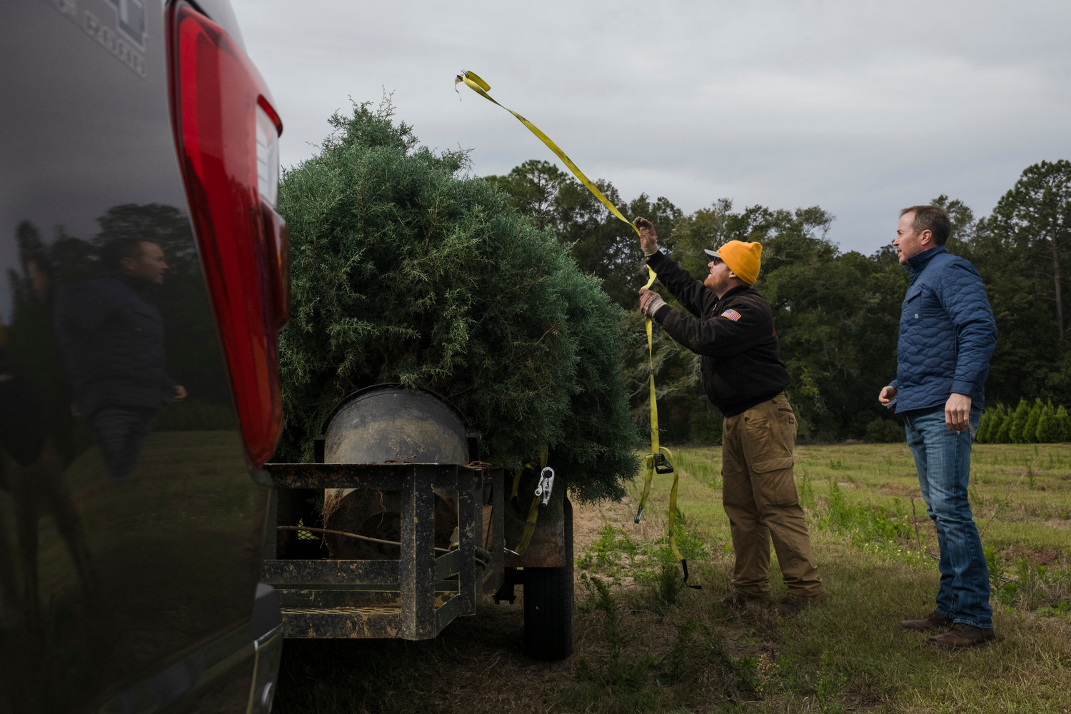 At Summerdale's Fish River Trees, business is ever(green) growing