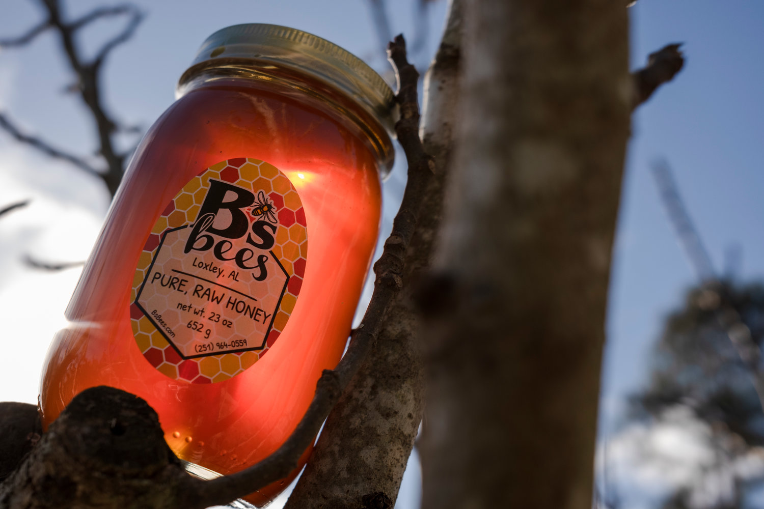 Jack Rowe, an Alabama Extension regional agent, said one of the best ways to support communities and local people is by purchasing locally grown and produced products. Local honey is available at most farm stands or farmers markets.