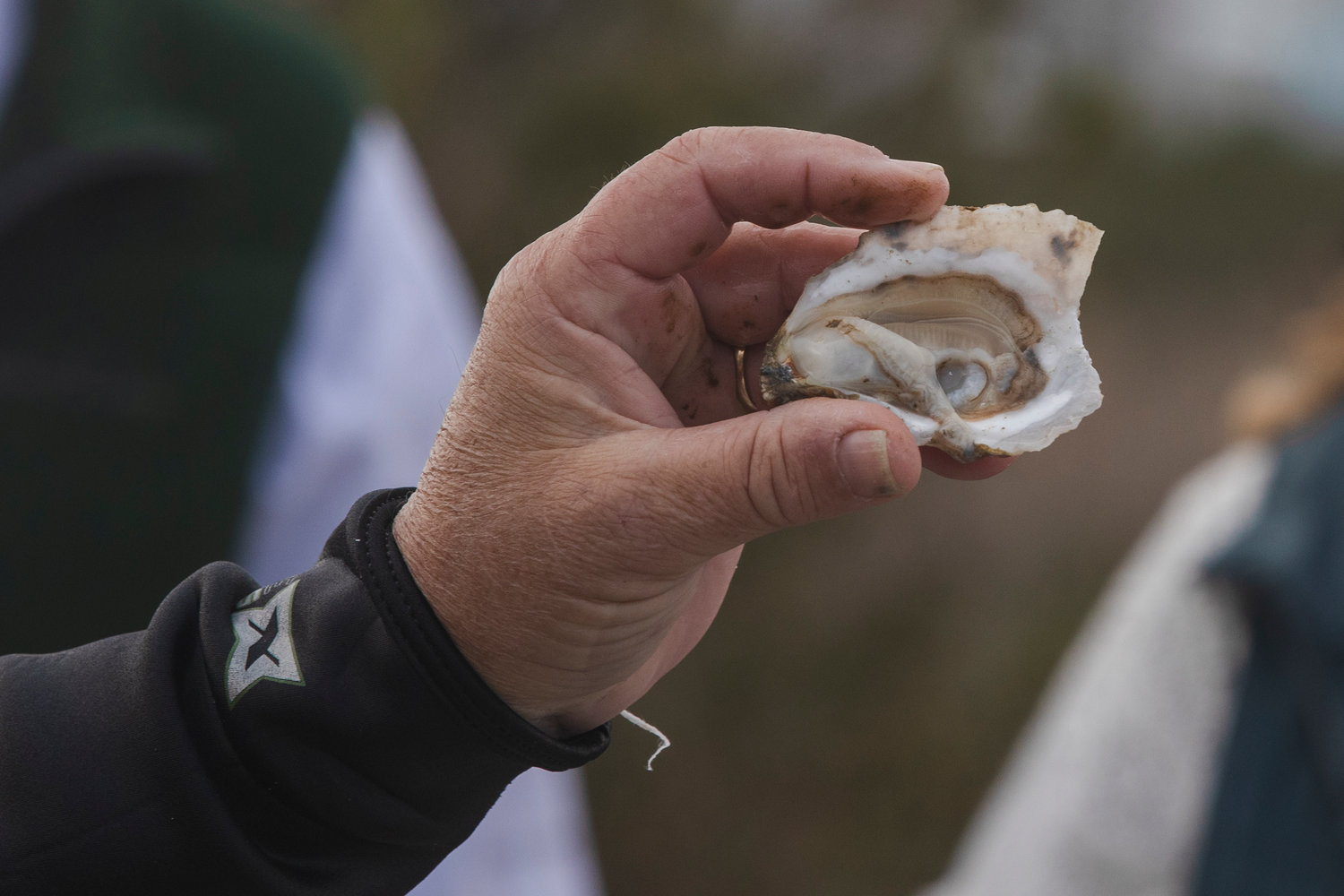 Fort Morgan Oyster Festival to bring salty fun Feb. 25 - Gulf Coast Media