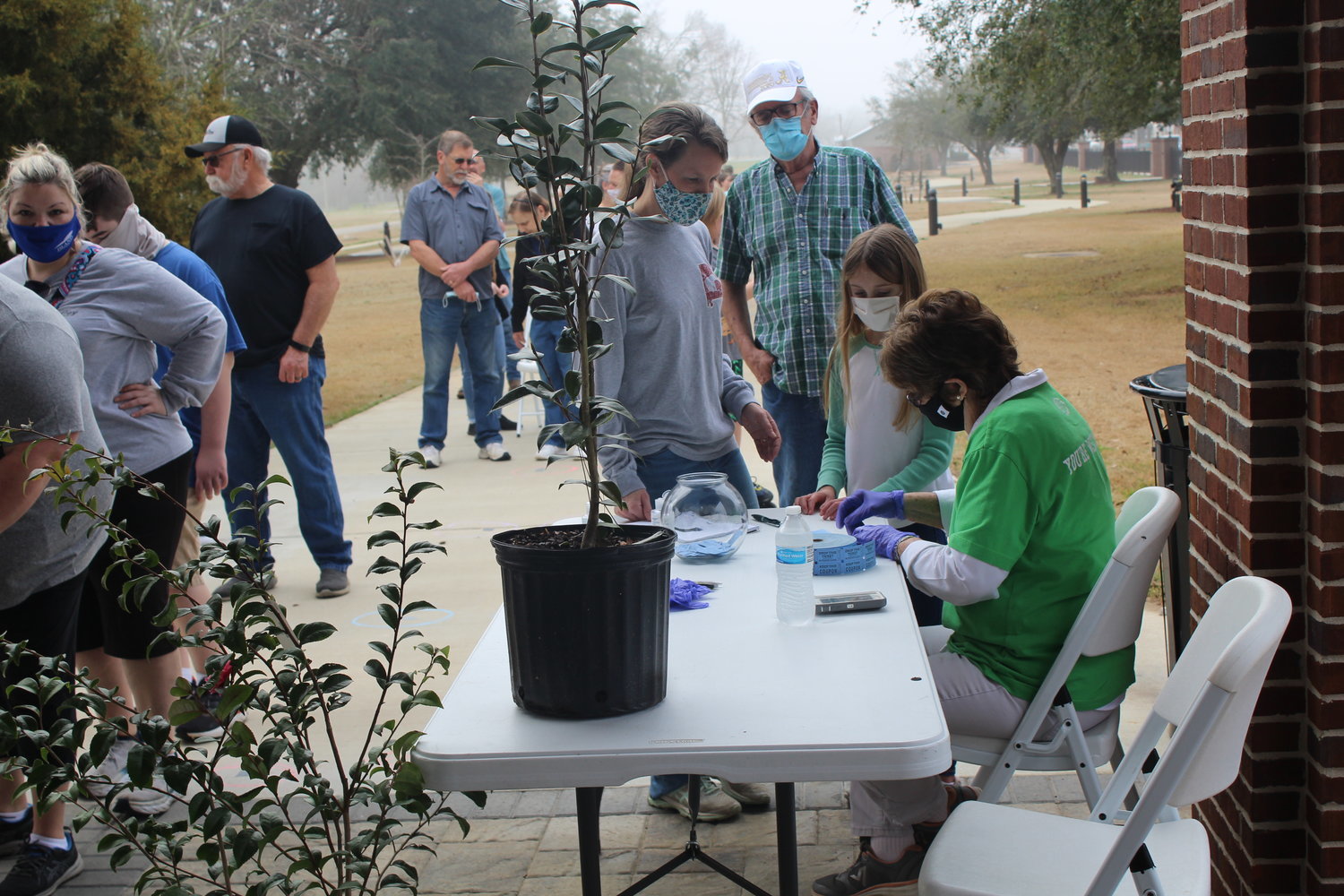 Residents of Robertsdale turn up to get their free trees during the Arbor Day events at Honey Bee Park.