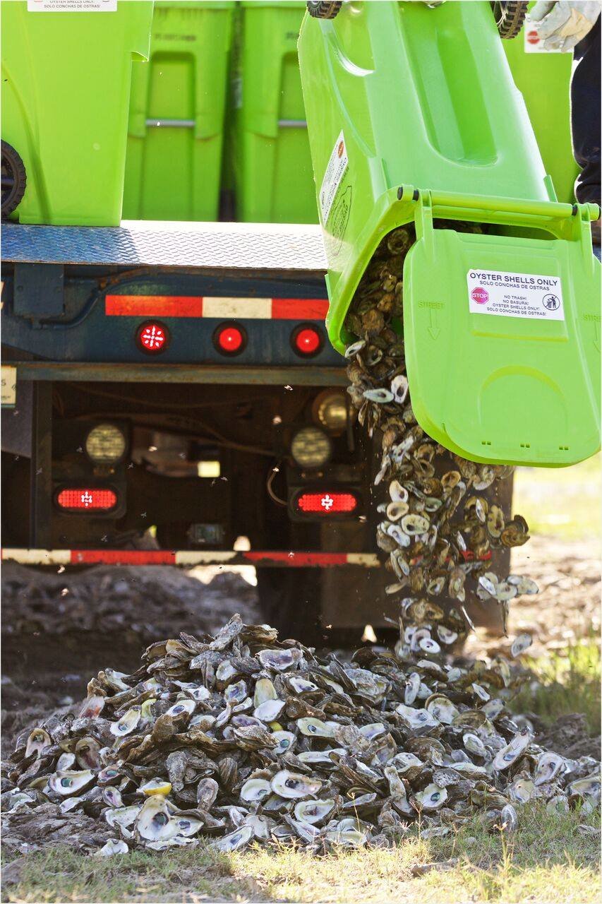 The Alabama Coastal Foundation posted in 2017 that the Alabama Oyster Shell Recycling Program was up to 30 restaurants. By that time, over 3.5 million shells had been collected, which equals 9 acres of new habitat.