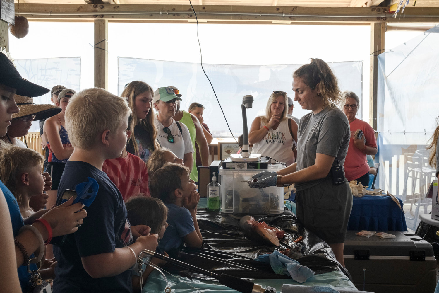 Alena Anderson, a researcher with the Mississippi State University Marine Fisheries Ecology, shows organs of blacknose shark specimen during a dissection for a crowd at Gulf State Park Pier as a part of the state park’s Shark Week. The blacknose shark is one of the most common sharks found on the Alabama Gulf Coast and can reach sizes up to five feet.