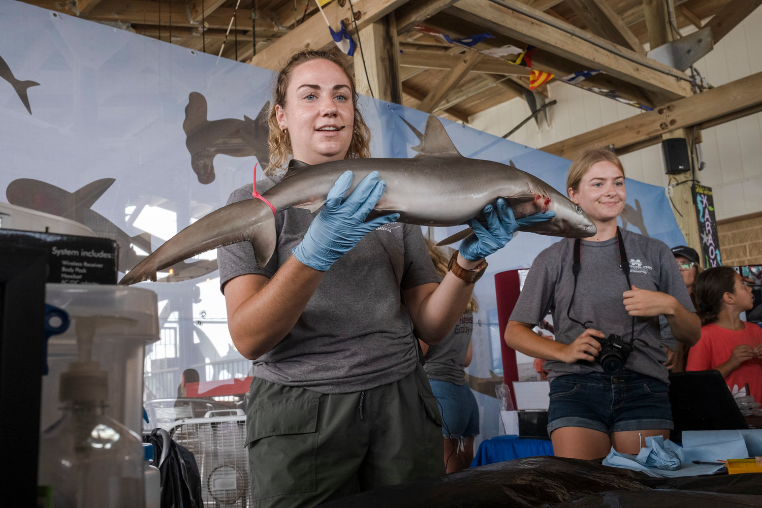 Gulf State Park Pier to host Shark Weekthemed programming Gulf Coast