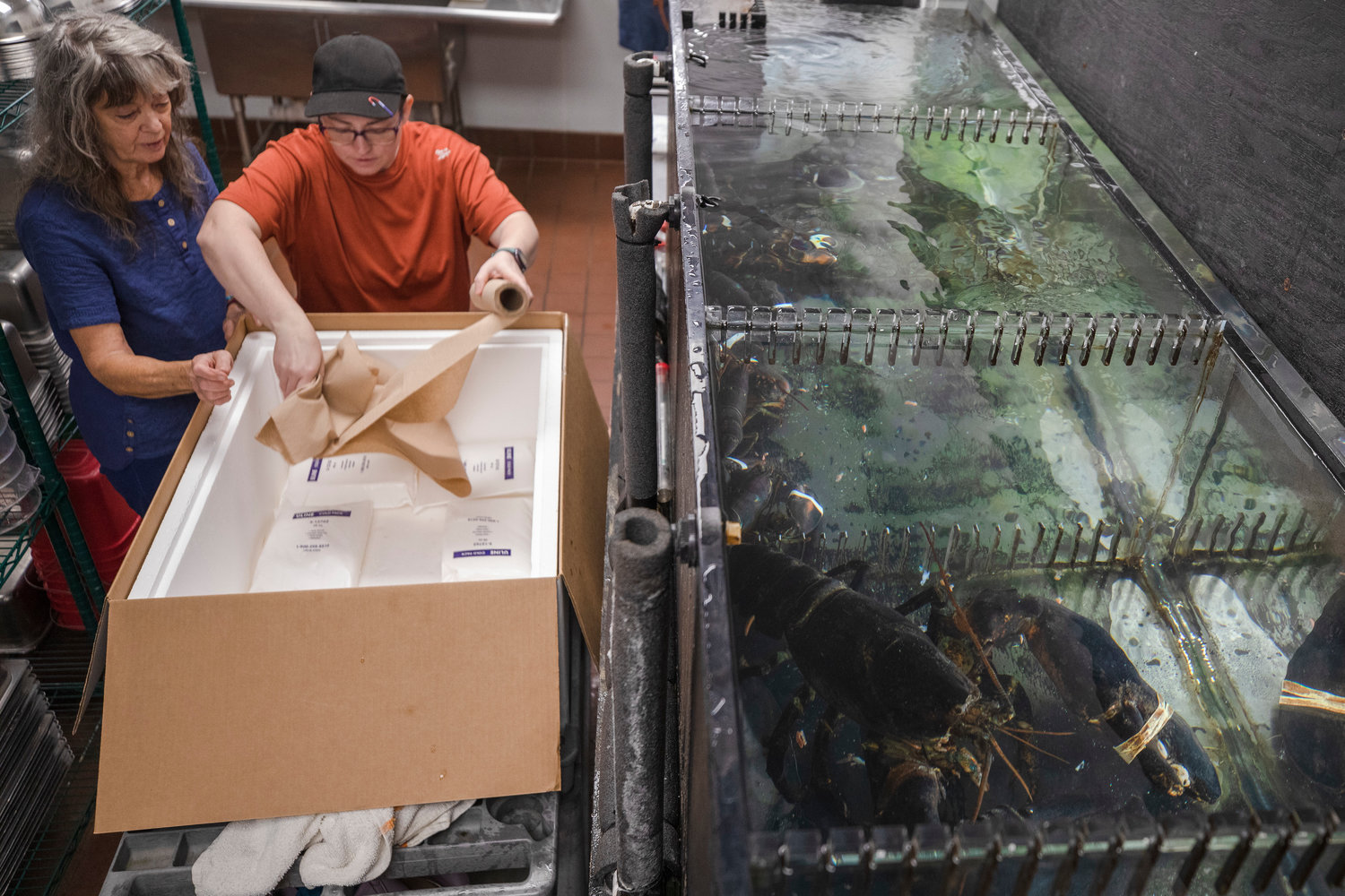 Diane Bockin, left, and Krystal Lawrence prepare the box for Biggie Smalls the lobster, who sit in her tank to the right at The Angry Crab Shack in Orange Beach.