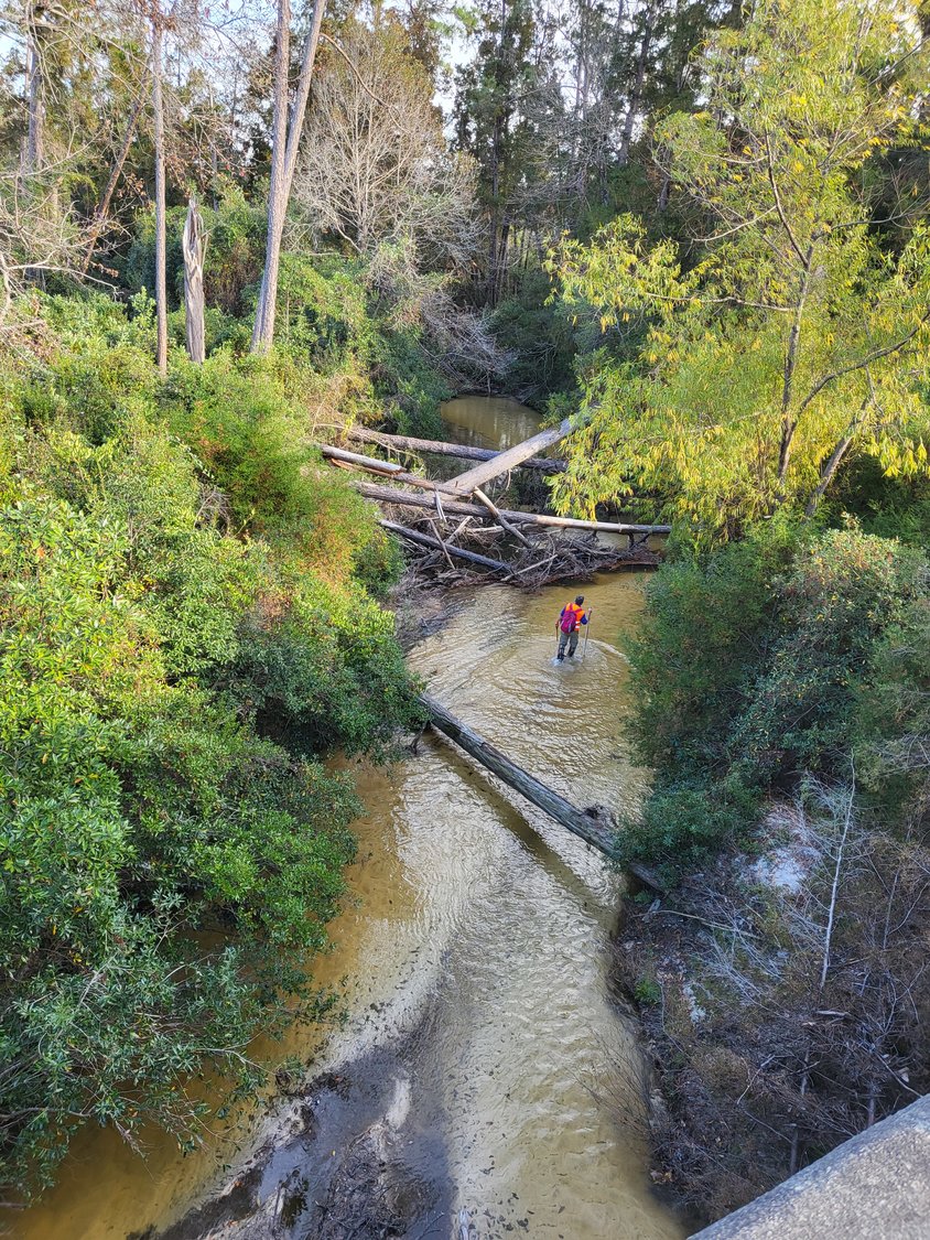 An employee with the Pensacola and Perdido Bays Estuary Program conducts stream bank erosion monitoring.