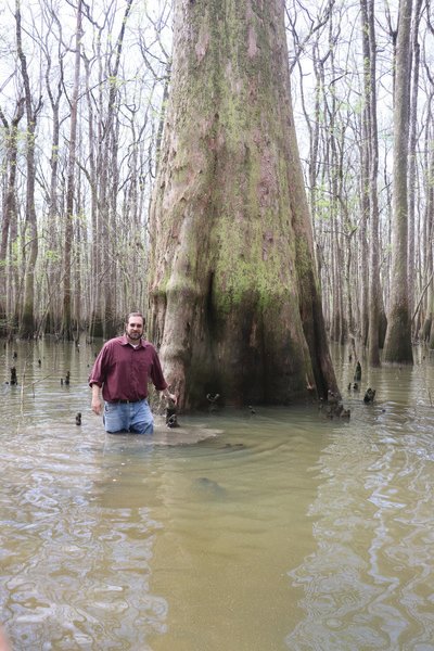 Mike Bunn, director of Historic Blakeley State Park, stands in front of a champion bald cypress tree that reigned in the northern part of Baldwin County. It was kicked off the throne by a Clarke County tree in 2020.