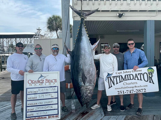 A group of anglers from Georgia took turns reeling in the 600-pound-plus tuna.