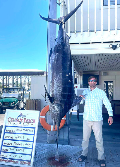 A week before catching the bluefin, Intimidator landed a big blue marlin.