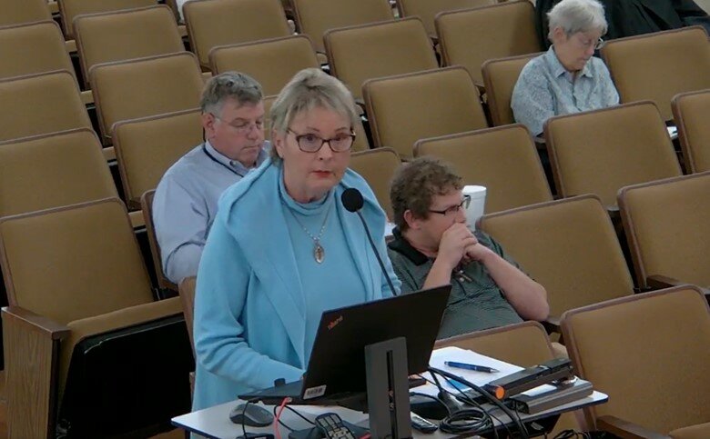 Carol Wilson was the first to address council.