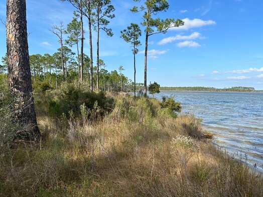 The city of Foley is making a significant addition to the Graham Creek Nature Preserve near Wolf Bay. Foley received a $5 million grant through the Gulf of Mexico Energy Security Act to help purchase the property.