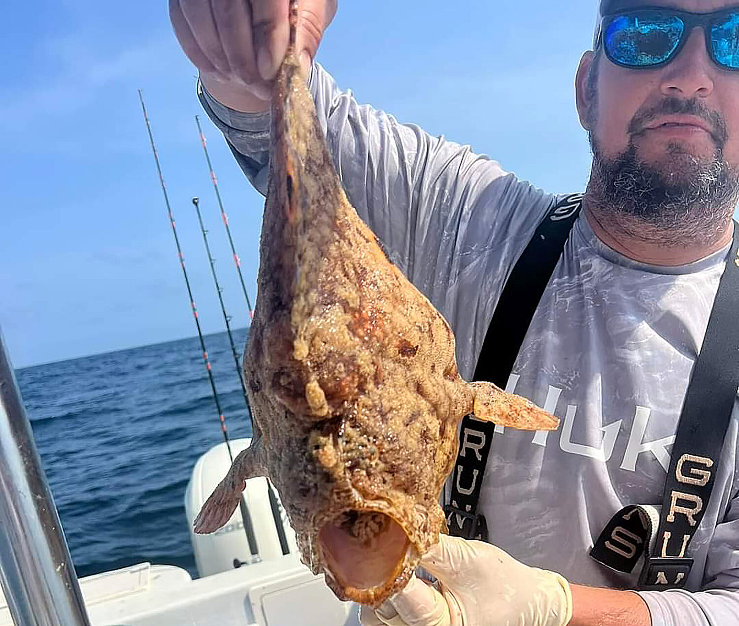 An oscillated frogfish was caught earlier this year but was not eligible for a state record because of the gear used to land the fish.