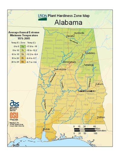 LeCroy said a south Alabama gardener should make planting decisions based on their specific location and hardiness zone as determined by the United States Department of Agriculture. "There are zone differences between the northern and southern parts of Mobile and Baldwin counties," he said. "For example, extreme southern portions of Mobile County are in a 9a hardiness zone where gardeners should begin considering a plant's salt tolerance."
